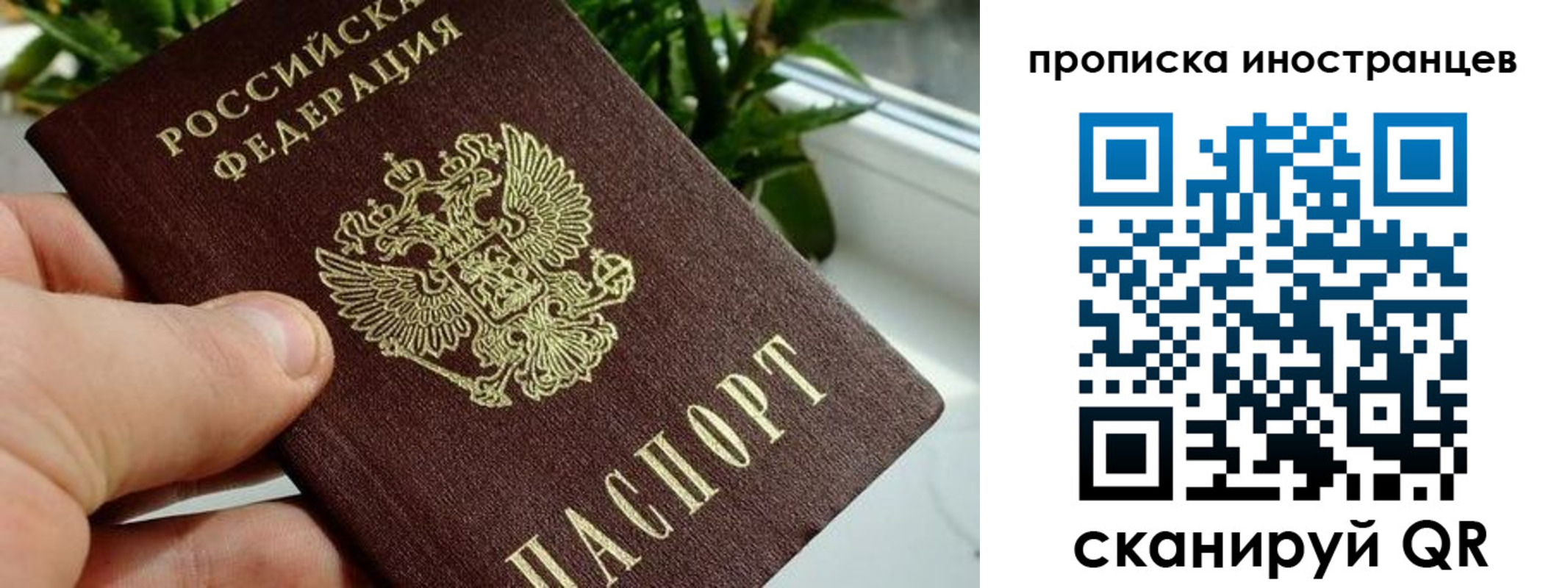 временная регистрация в Купино